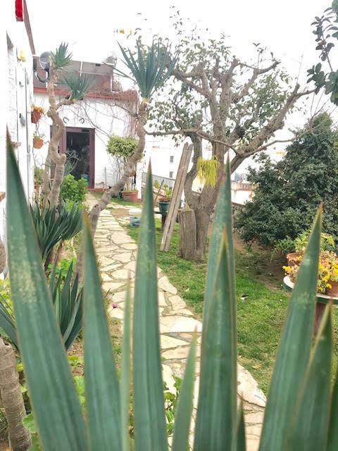 Casa Torrent Canet De Mar